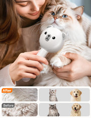 FEELNEEDY Rechargeable Spray Grooming Brush for Cats